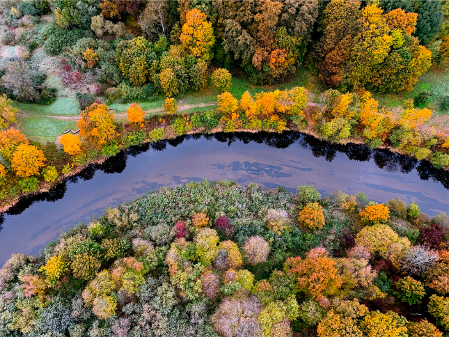 VIP skrydžiai grupėms nuo 950 eurų
